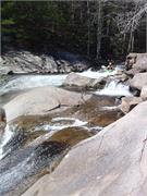 Tellico 6